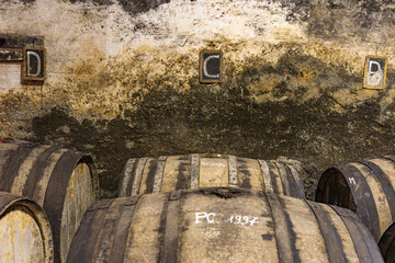 Next to weathered wall are lined barrels marked as aging cognac from years 1984 and 1997 in an...