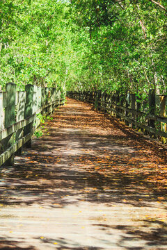 Wood bridge, Lo&iacute;za, Puerto Rico