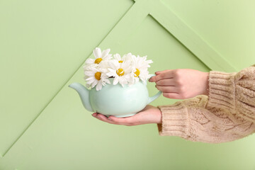 Female hands with teapot of chamomile tea and flowers near green wall