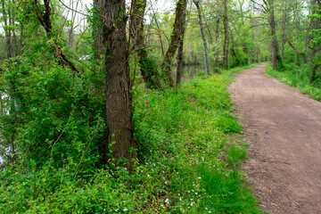 hike along the canal in the spring