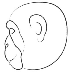Obraz premium Vector hand drawn Monkey face illustration
