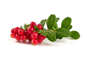 Lingonberry with leaves, isolated on white background.
