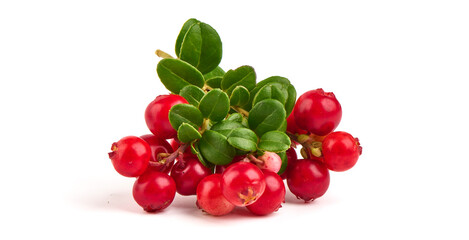 Lingonberry with leaves, isolated on white background.