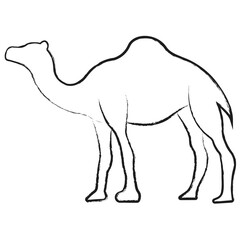 Vector hand drawn Camel illustration