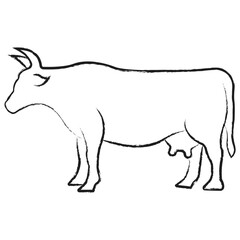 Vector hand drawn Cow illustration
