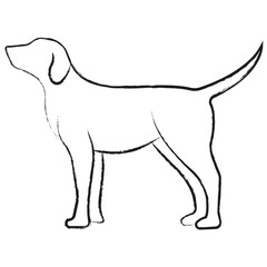 Vector hand drawn Dog illustration