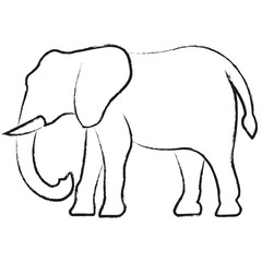 Vector hand drawn Elephant illustration