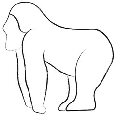 Vector hand drawn Gorilla illustration