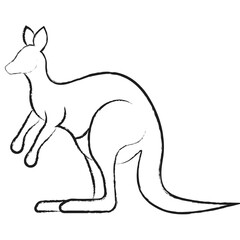 Vector hand drawn Kangaroo illustration