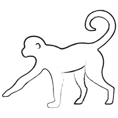 Vector hand drawn Monkey illustration