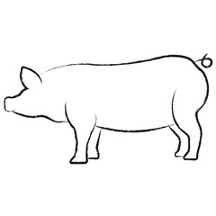 Fototapeta premium Vector hand drawn Pig illustration