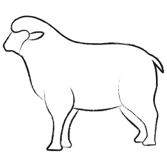 Vector hand drawn Sheep illustration