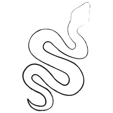 Vector hand drawn Snake illustration