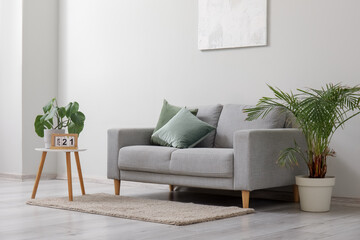 Stylish grey sofa, houseplants and picture hanging on light wall in living room