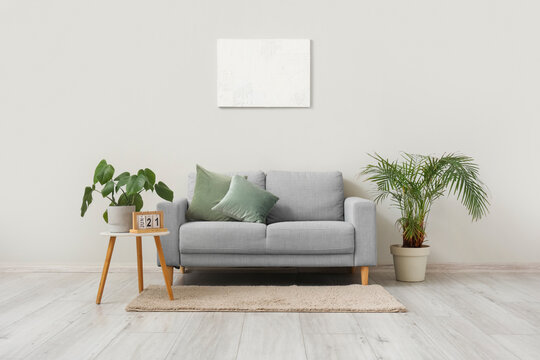 Stylish grey sofa, houseplants and picture hanging on light wall in living room