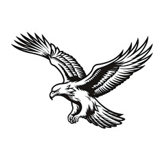 a drawing of a eagle in black and white. Tattoo idea for a wildlife theme.