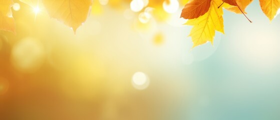 Naklejka na ściany i meble Abstract nature autumn Background with yellow leaves