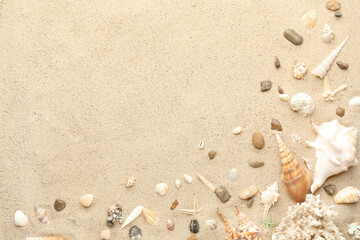 Fototapeta na wymiar Different seashells on sandy beach
