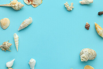Frame made of different seashells on blue background
