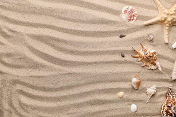 Fototapeta na wymiar Different seashells and starfish on sandy beach