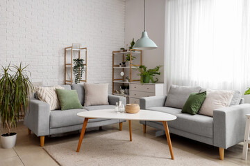 Interior of light living room with cozy grey sofas, coffee table and houseplants