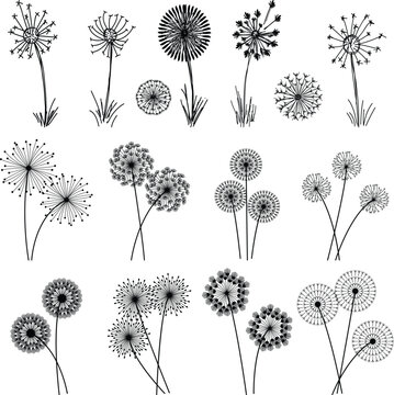 Set of flowers. Print ready vector design for Tshirt, Mug and printing item. bundle design  .Black and white view. design vector set. Icon bundle .