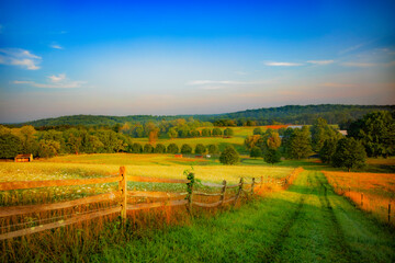 Fototapeta premium landscape in autumn