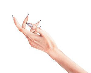 Realistic Elegant Watercolor Hand Illustration with long nails. High quality illustration