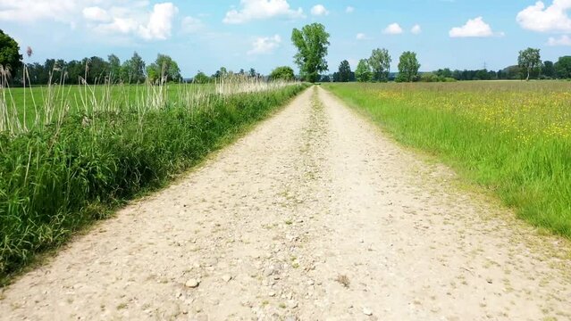 Flug mit einer Drohne &uuml;ber einen unbefestigten Feldweg in einer l&auml;ndlichen Gegend. Der Weg ist mit kleinen Steinen und Kieseln bedeckt und wird von hohem Gras und Wildblumen auf beiden Seiten umgeben.