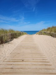 Chemin au milieu des dunes pour acceder à la plage, ile d'Oleron, plage de maloboule,...