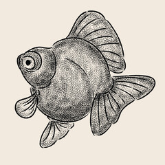 illustration of a Goldfish 