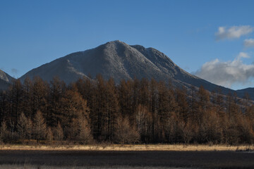 朝の小田代ヶ原から見た太郎山