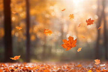 Naklejka na ściany i meble Falling colorful leaves in autumn outside