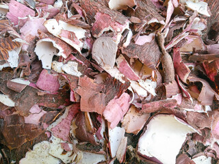 dry leaves background. Pile of cassava peels on the ground. Cassava peels waste. Close up