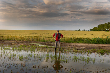 Disappointed farmer standing on flooded agricultural field - obrazy, fototapety, plakaty