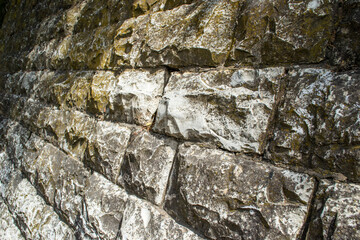 outdoor foliage greenery stone brick texture rock granite moss