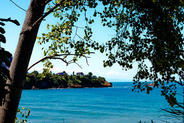  Black sea view through tree and leaves. Vacation concept. For text fields. Tire , Giresun Turkey