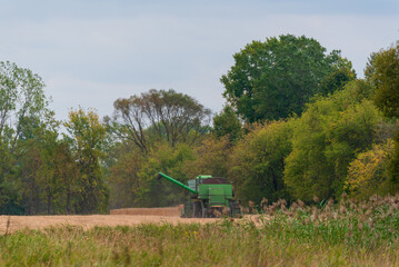 A Combine Harvesting Grain In A Farm Field In October In Wisconsin