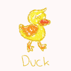 illustration of a duckling