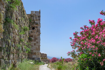Obraz premium Phoenician ruins byblos lebanon old castle coast meditteranean 