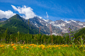 Fototapeta premium Scenic view from the Simplon pass in Switzerland