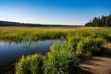 View of Lake Itasca from Mississippi River Headwaters