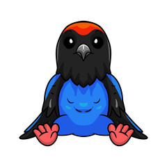 Cute blue manakin bird cartoon