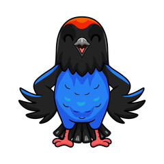 Cute blue manakin bird cartoon