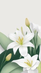 Fototapeta na wymiar Lily Flower Blank Invitation Background Vector