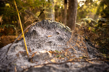 sandy soil on a farm. pile of sand