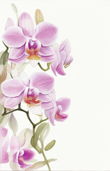 Fototapeta na wymiar Orchid Flower Blank Invitation Vector