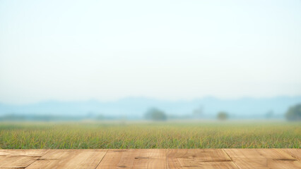 view from wooden balcony Saw green rice fields and morning fog.