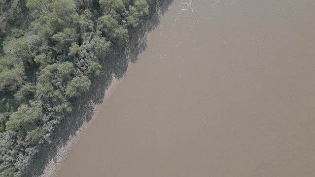 Drone footage of the forest and huge river and lifeline Rio Paran&aacute; in the Province Entre Rios in the Argentinian Mesopotamia - Traveling South America - raw version