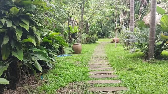 Dolly push in cinematic footage shot view of beauty tropical green garden with walking path